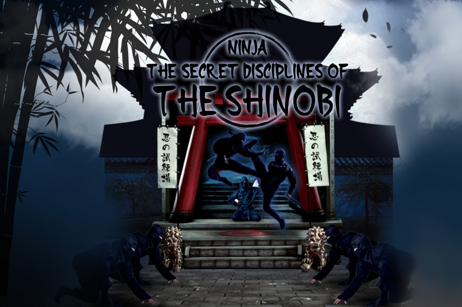 Escape Game Ninja: The Secret Disciplines of the Shinobi, Freeing Group. Singapore.