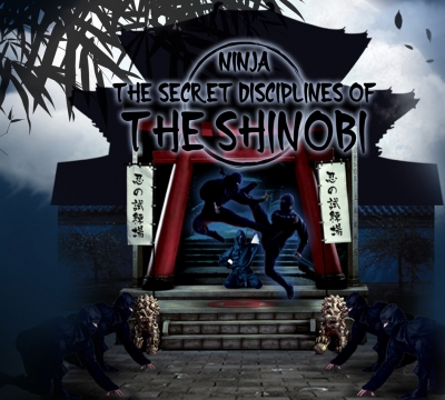 Ninja: The Secret Disciplines of the Shinobi